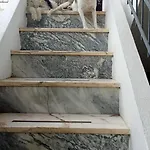 Ztir