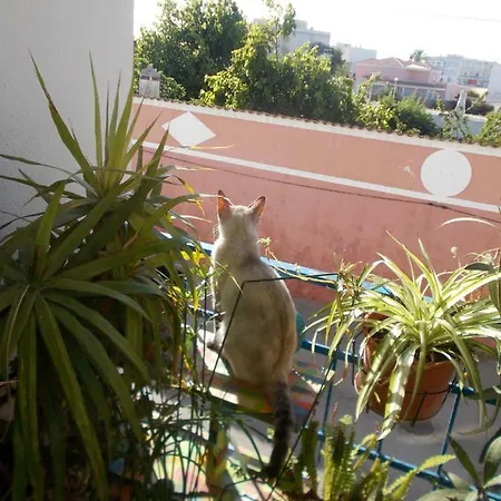 Ztir Olhão