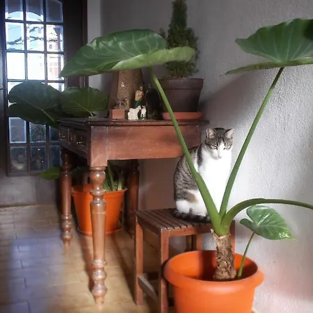 Séjour chez l'habitant Ztir Olhão