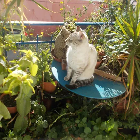 Δωμάτια σε οικογενειακή κατοικία Ztir Olhão