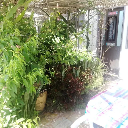 Ztir Olhão