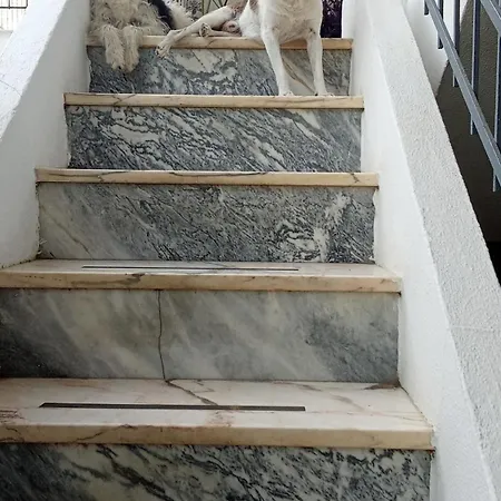 Ztir