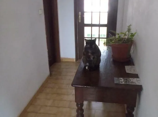 Ubytování v soukromí Ztir *