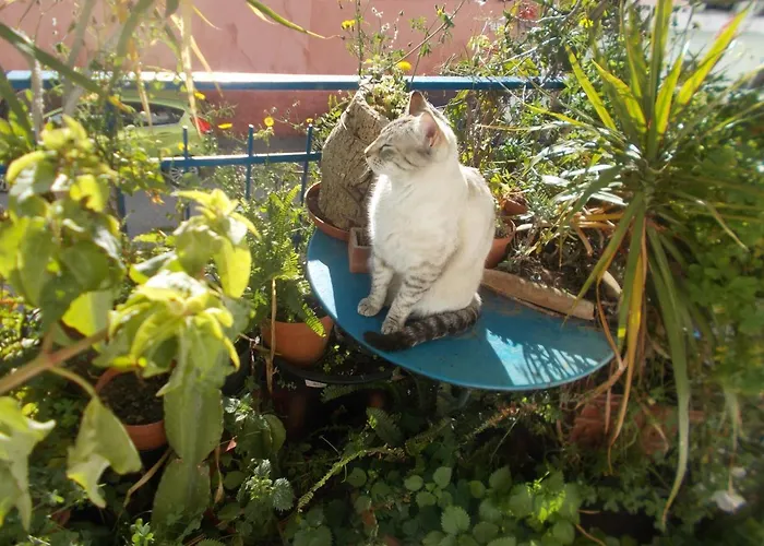 Ubytování v soukromí Ztir Olhão